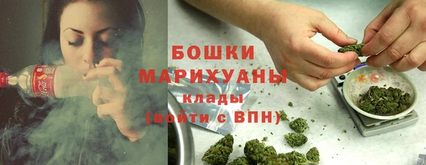 первитин Новодвинск