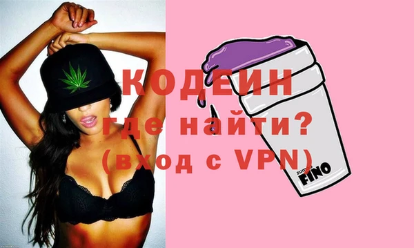 молекула духа Новозыбков