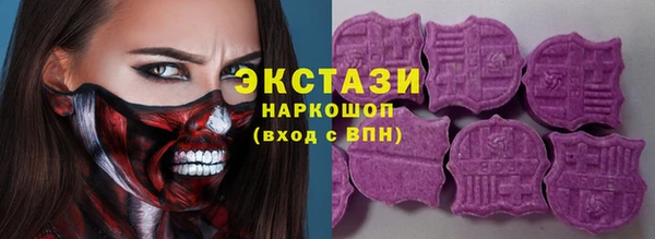 молекула духа Новозыбков