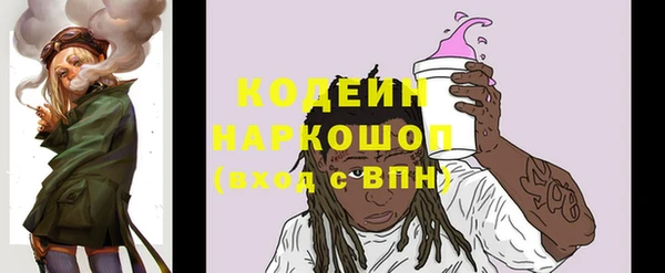 первитин Новодвинск