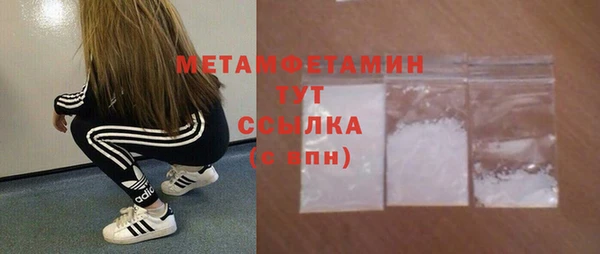 молекула духа Новозыбков