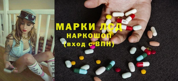 молекула духа Новозыбков