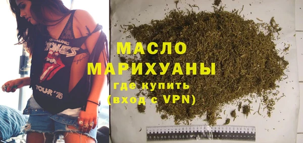 молекула духа Новозыбков