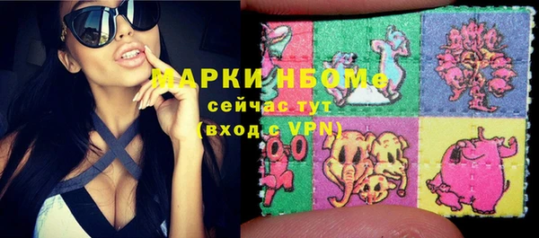 молекула духа Новозыбков