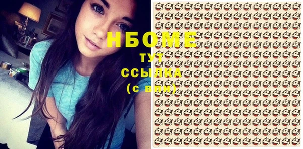 молекула духа Новозыбков