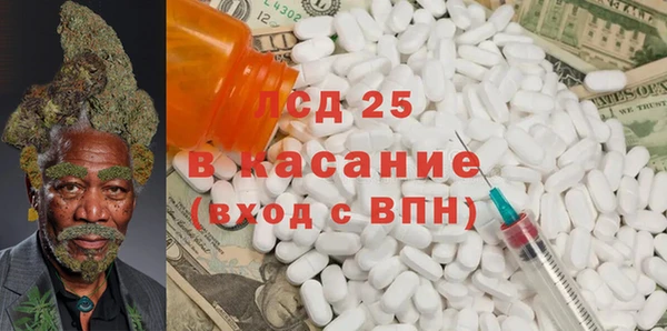 молекула духа Новозыбков
