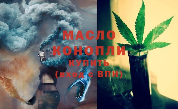 молекула духа Новозыбков