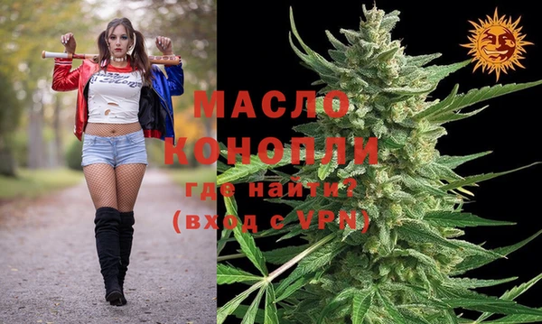 молекула духа Новозыбков