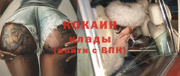 молекула духа Новозыбков