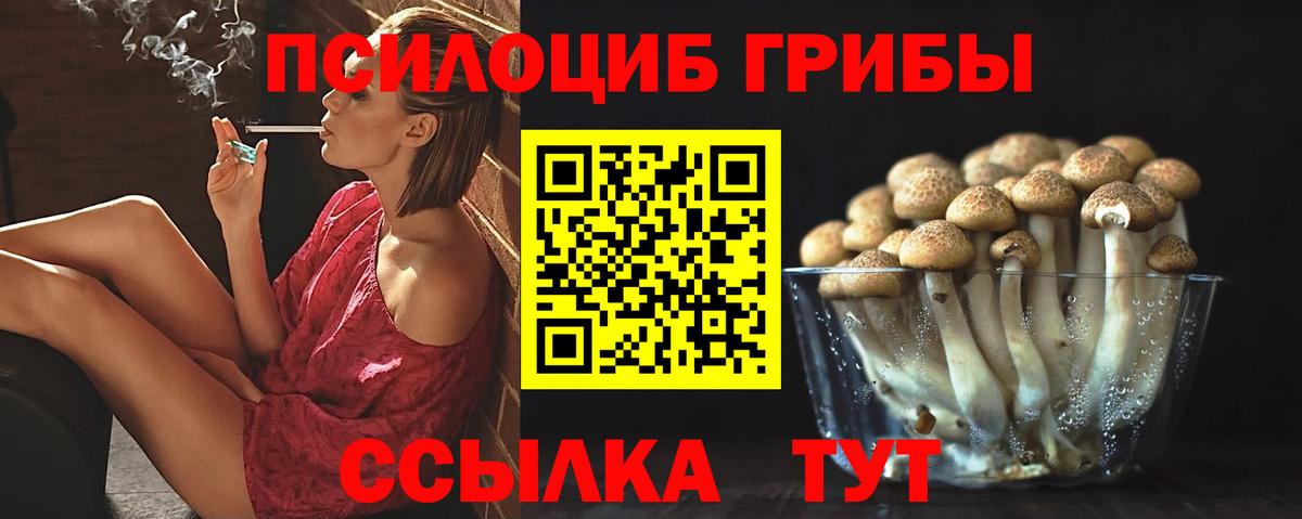 Псилоцибиновые грибы Psilocybine cubensis  продажа наркотиков  Петропавловск-Камчатский  Вход с VPN  Галлюциногенные грибы мухоморы 